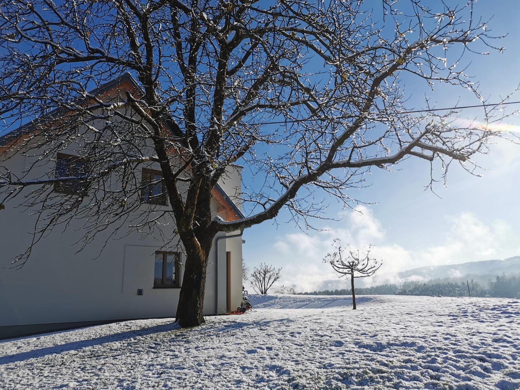 Traumhaftes Ferienhaus am Lateinberg - 8455 Eibiswald Südsteiermark Villa Exterior photo